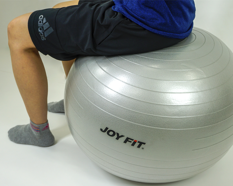 JOYFITバランスボール(付属品:空気入れ)