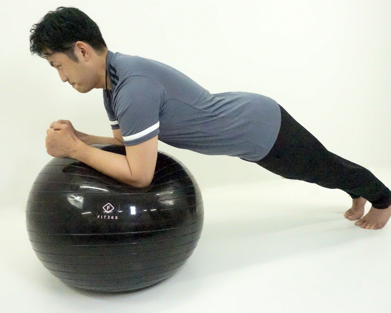 FIT365バランスボール（付属品：空気入れ）