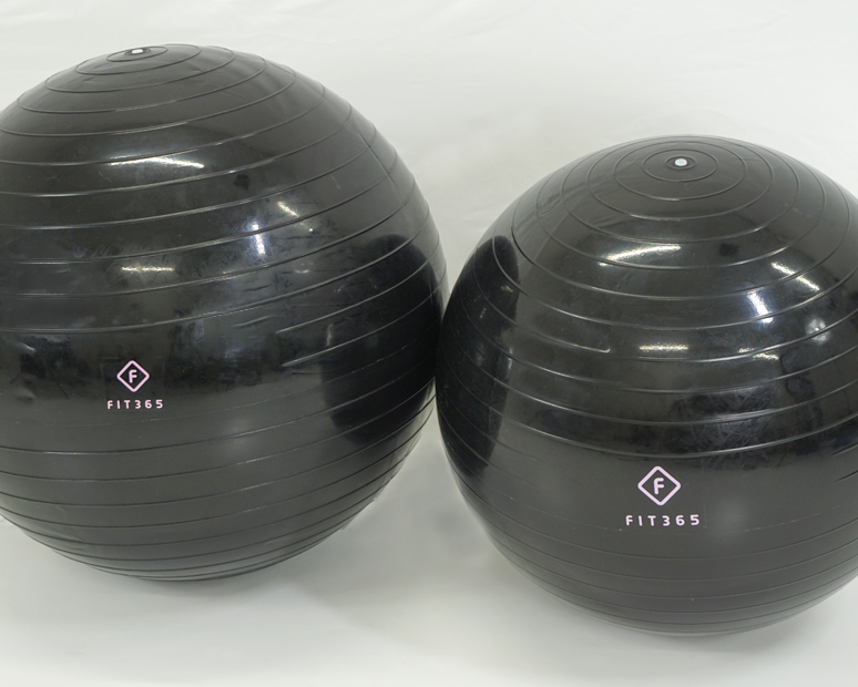 FIT365バランスボール(付属品:空気入れ)